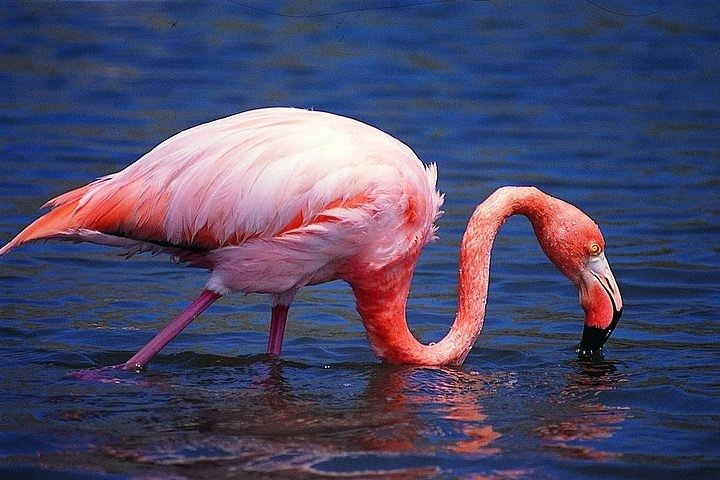 3 Days - Isabela Total Experiences - Photo 1 of 18